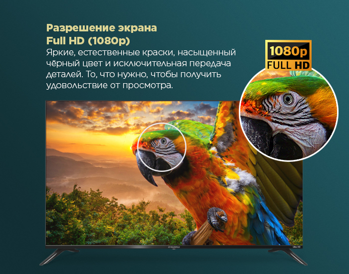 43" Телевизор MAUNFELD MLT43FSD02, Full HD, Android TV - фото14