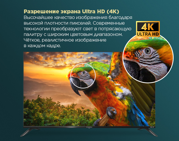 55" Телевизор MAUNFELD MLT55USX02, 4K Ultra HD, Яндекс TV - фото14
